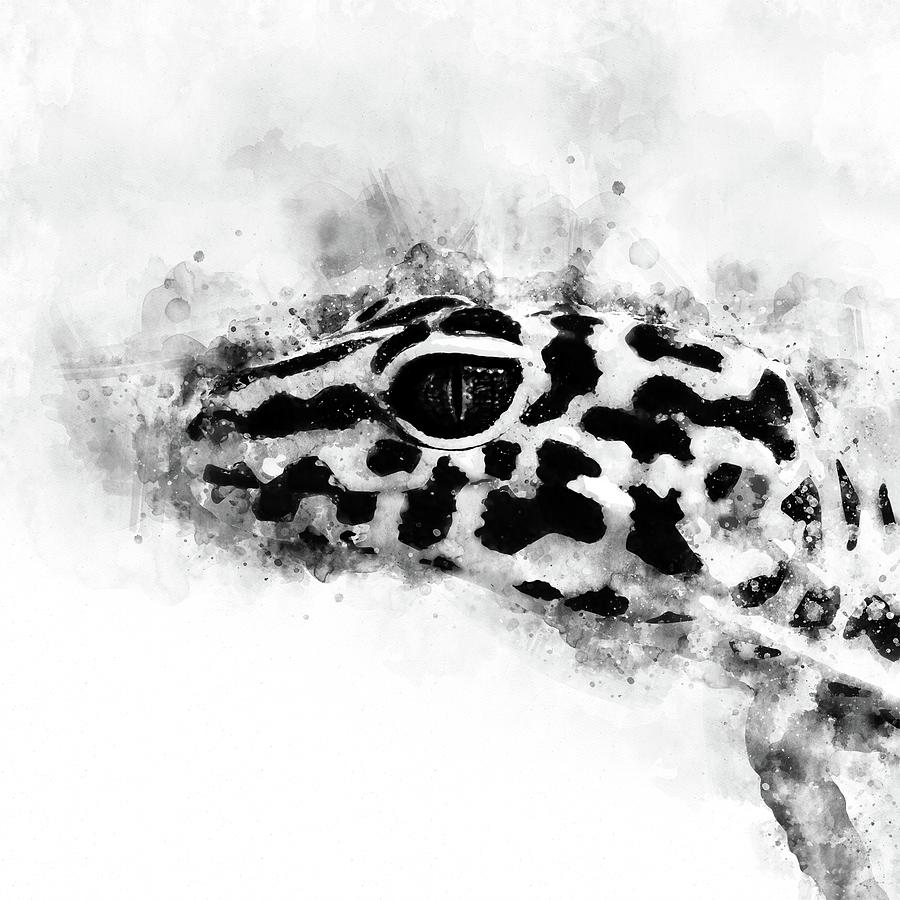 Leopard Gecko P2 Black White Digital Art By Gxp Design