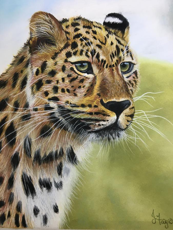 Leopard Painting By Joan Koser 