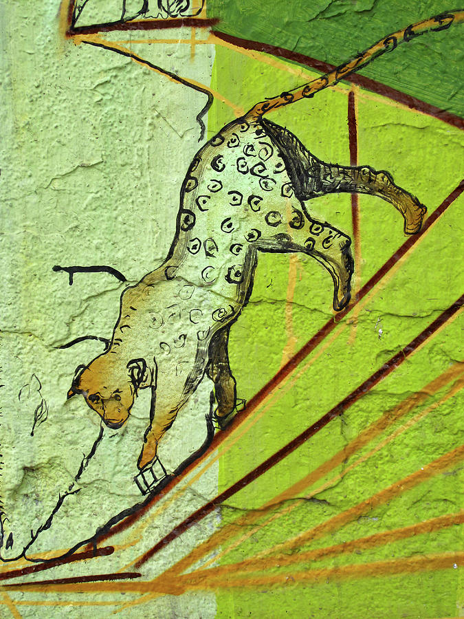 Leopard on a Wall Oaxaca City Painting by Lorena Cassady