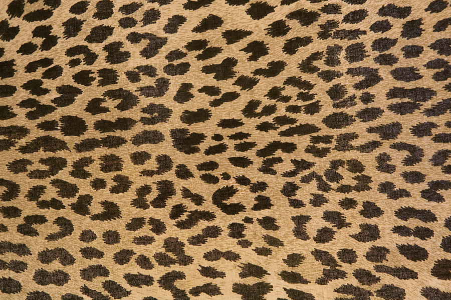 Leopard patterned fabric pattern Photograph by Gaffera