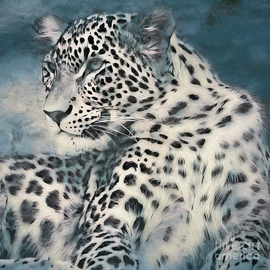 Leopard Portrait - Photoart Photograph by Philip Preston