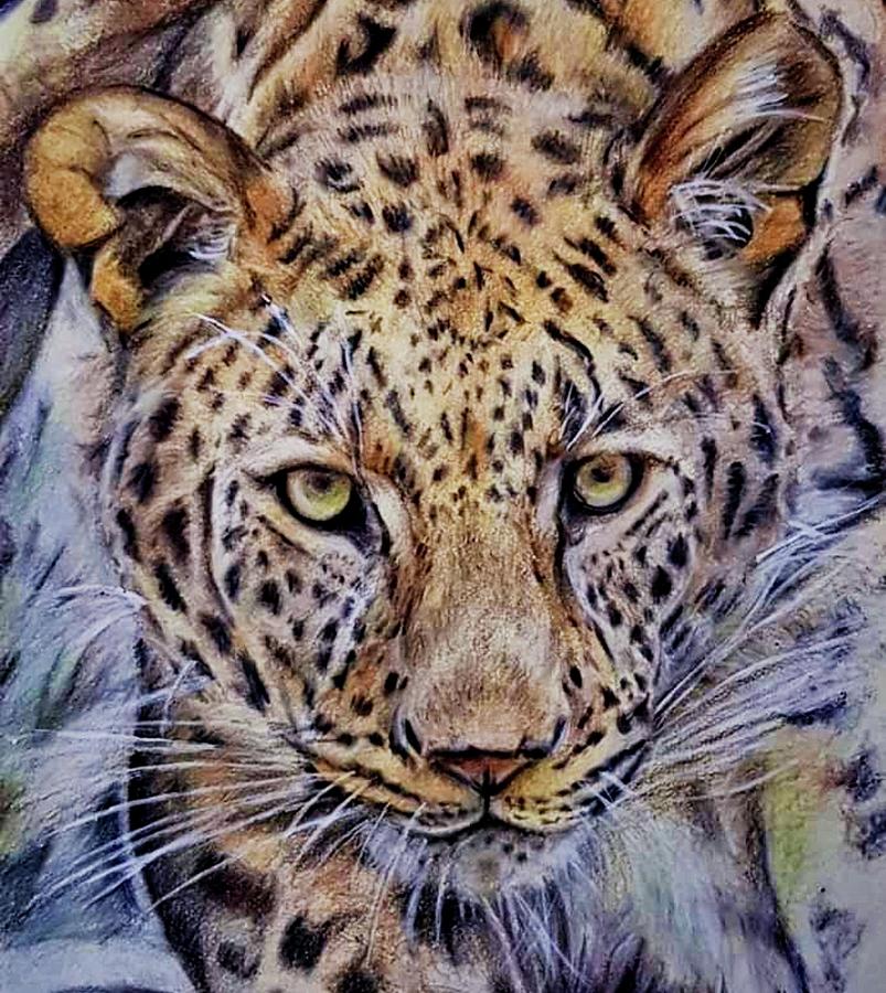 Bold Leopard Prowling Mixed Media