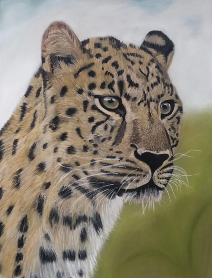 Leopard Pastel by Rajendra Parekh - Fine Art America