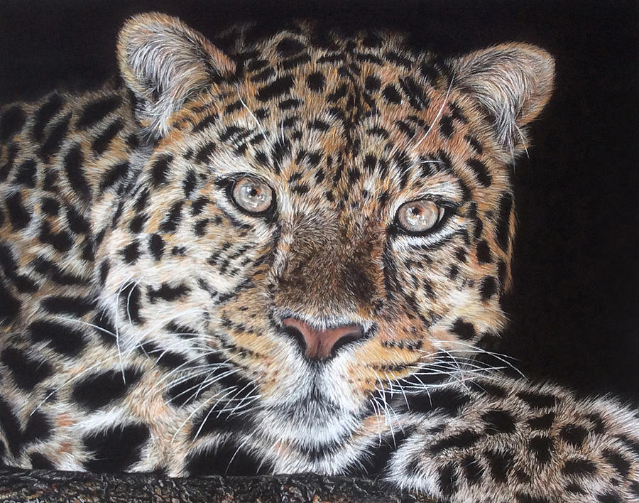 Leopard Pastel by Sandra Bartels