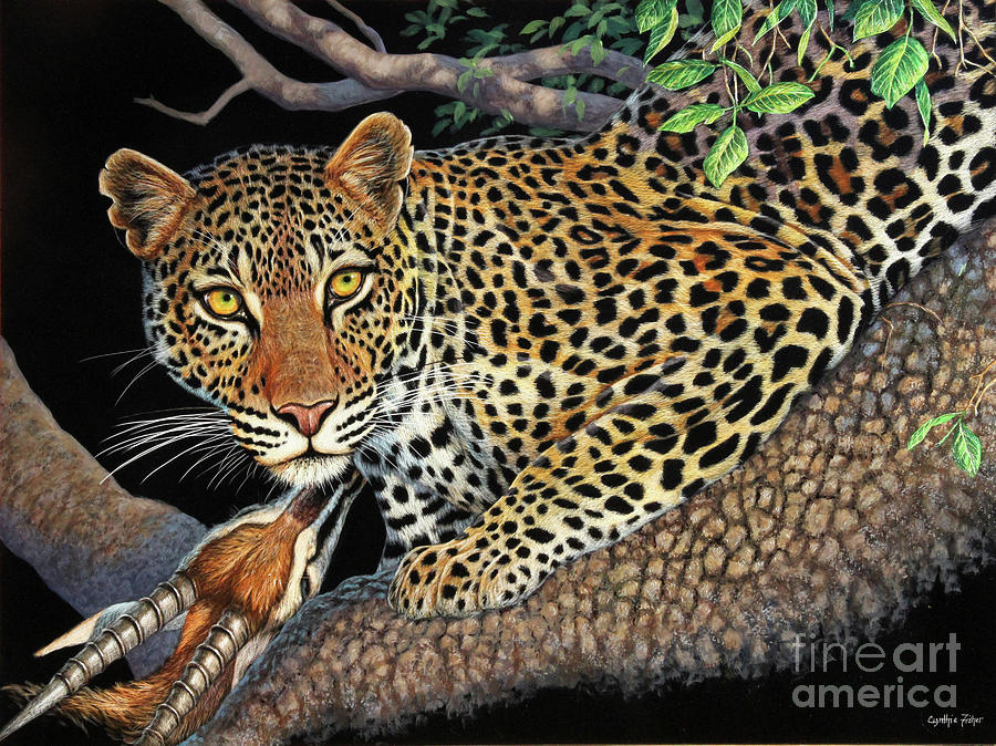 Leopard Scratch Board Drawing by Cynthie Fisher