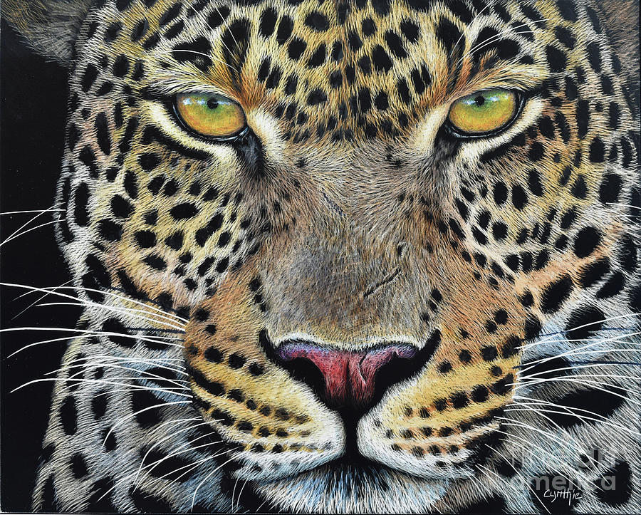 Leopard Scratchboard Painting by Cynthie Fisher