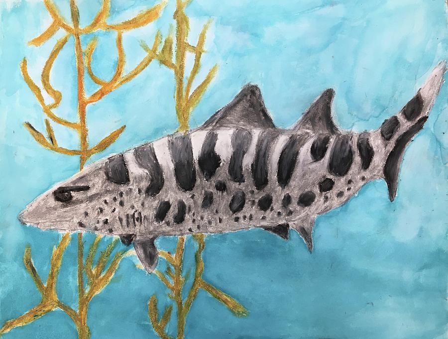 Fish Drawing - Leopard Shark by Sterling Volz kindergarten by California Coastal Commission