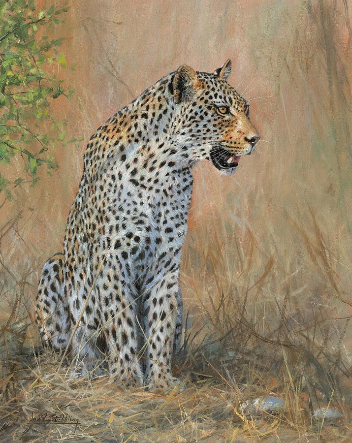 Leopard Sitting Painting By David Stribbling Fine Art America