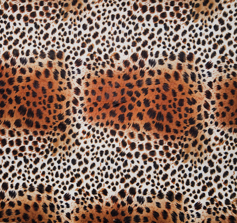 Spotted Leopard Skin  Photograph by Theresa Tahara