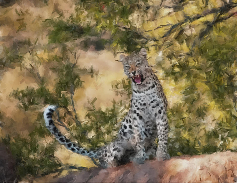 Leopard Watching Painting by Gary Arnold