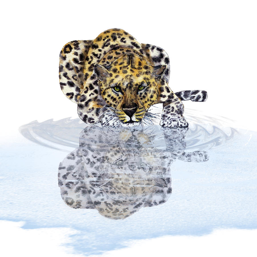 Leopards Reflection - Minimalism Mixed Media by Kelly Mills