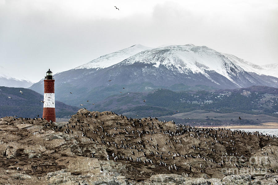 Les Eclaireurs Lighthouse Photograph by Erin Marie Davis