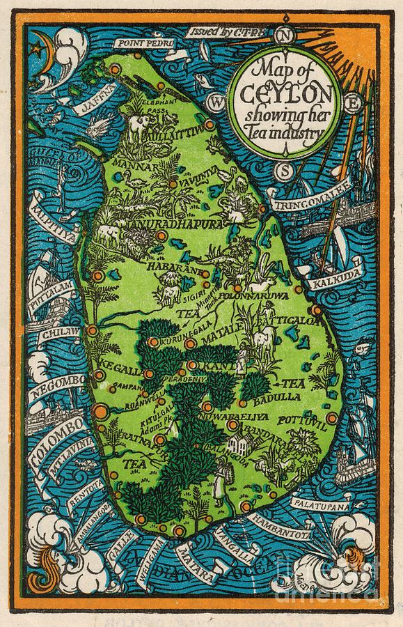 Leslie MacDonald Gill - CTPB - Map of Ceylon showing her Tea Industry - 1933 Digital Art by Vintage Map