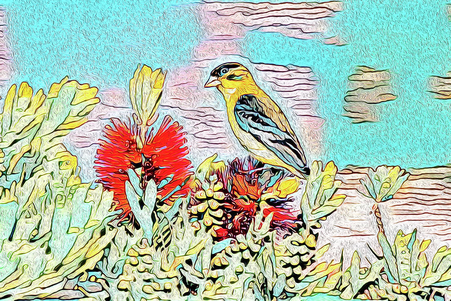 Lesser Goldfinch Perched on Bottlebrush Bush Abstract  Mixed Media by Linda Brody