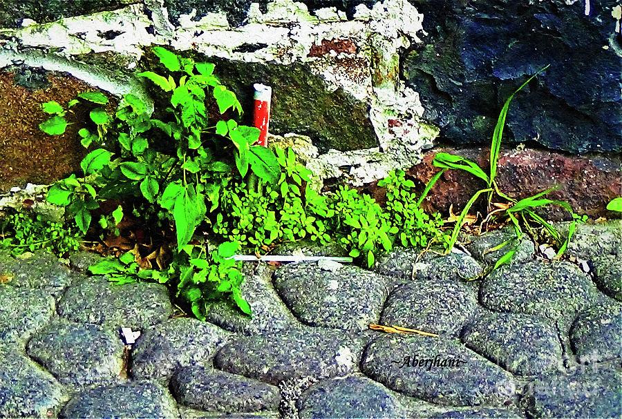 Lessons from Nature on Surviving and Thriving Photograph by Aberjhani Lessons from Nature on Surviving and Thriving Photograph by Aberjhani