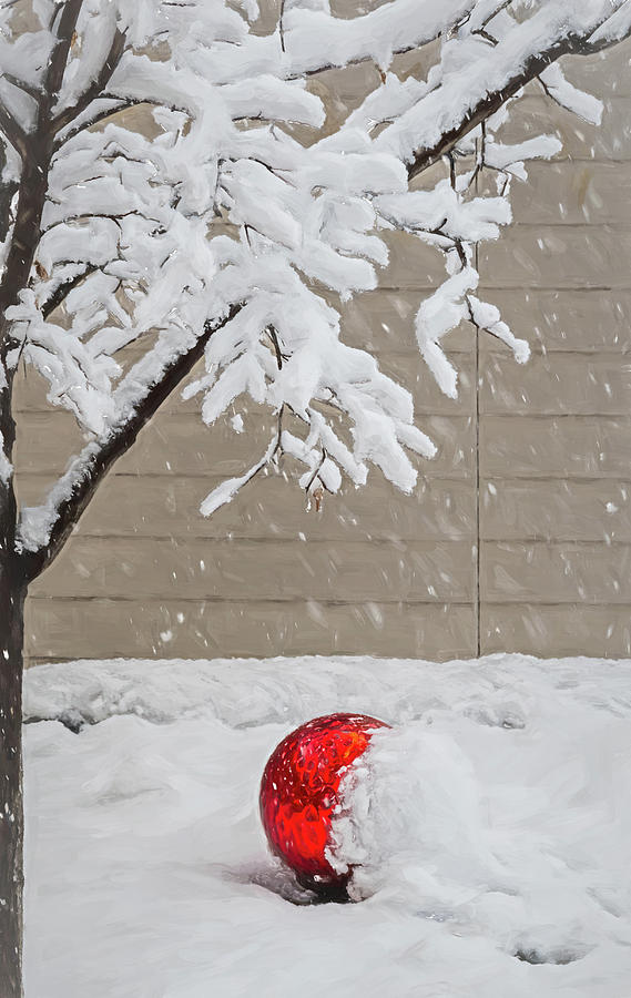 Let It Snow Photograph by Debra Martz