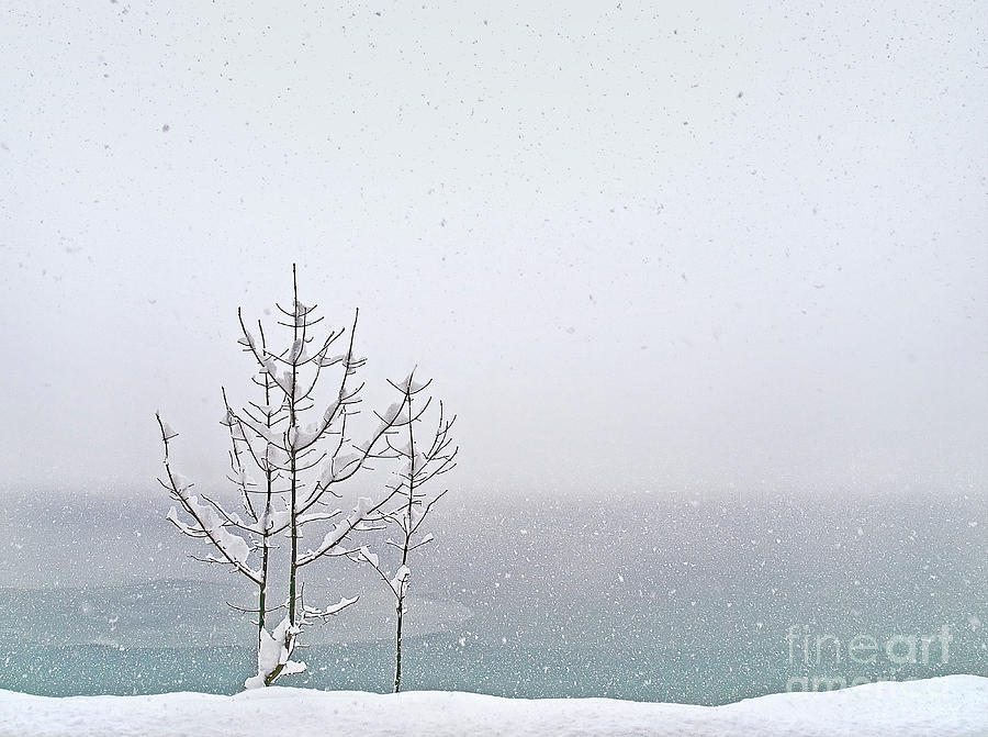 Let it snow. Heavy snowfall at the lake Austris Innsbruck Photograph by Tatiana Bogracheva