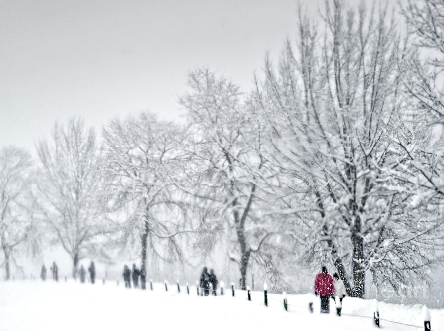 Let it snow, heavy snowfall, winter walk Photograph by Tatiana Bogracheva