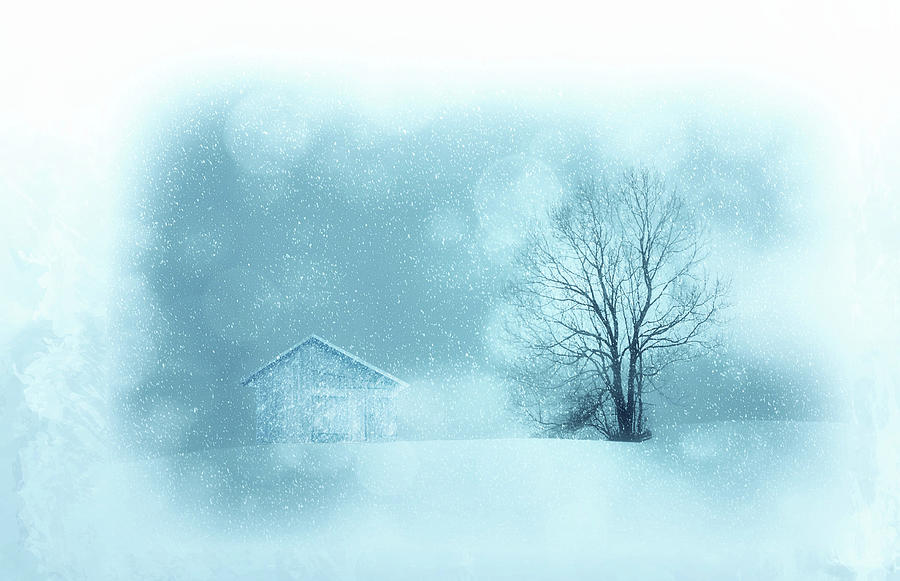 Let It Snow Photograph by James DeFazio