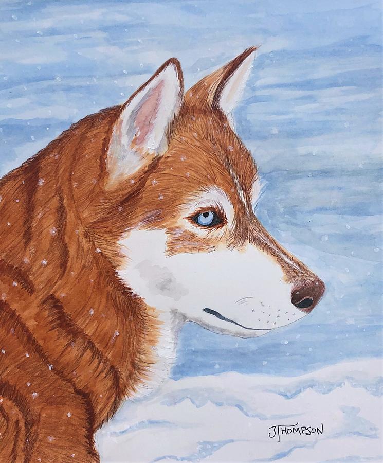 Siberian Husky Painting - Let It Snow by Judy Thompson