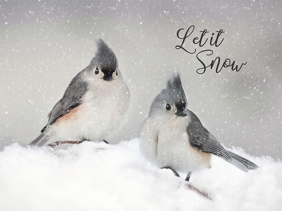 Bird Mixed Media - Let It Snow by Lori Deiter