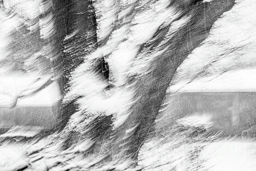 Let the Blizzard Begin - II Photograph by Marilyn Cornwell Let the Blizzard Begin - II Photograph by Marilyn Cornwell