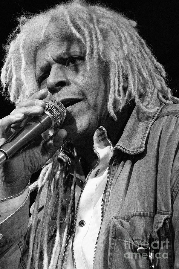 Let The Boy Sing The Blues 115 Photograph by Bob Christopher Fine Art