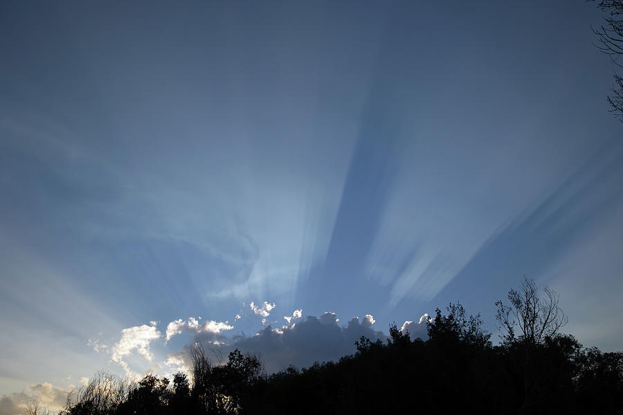 Let There Be Light Photograph By Brian C Kane - Fine Art America