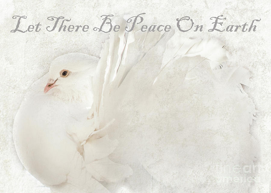 Let There Be Peace On Earth Photograph by Barbara McMahon