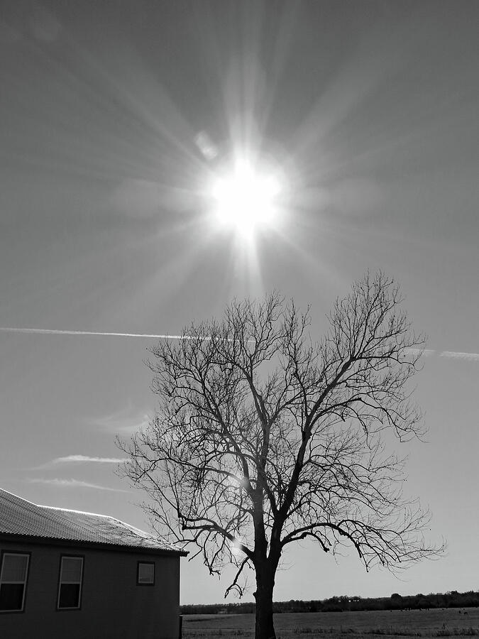 Black And White Photograph - Let Your Light Shine. Texas USA by Connie Fox