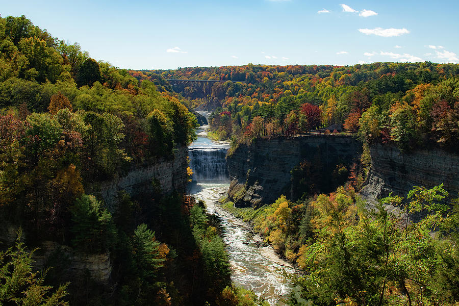 Letchworth State Park Photograph by Nicole Lloyd Letchworth State Park Photograph by Nicole Lloyd