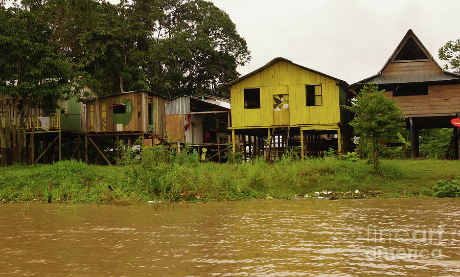 Letician Banks of the Amazon Photograph by Cassandra Buckley