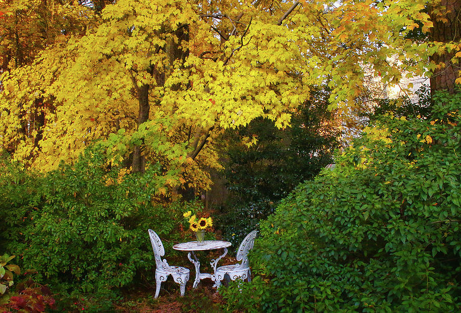 Lets Dine Under Autumns Golden Canopy  Photograph by Ola Allen