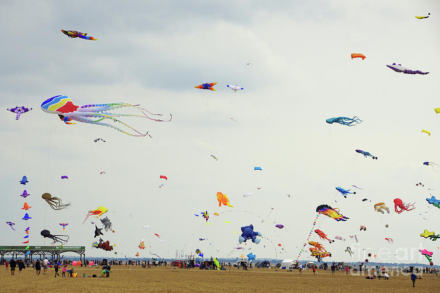 Let's go fly a kite Photograph by David Birchall | Fine Art America