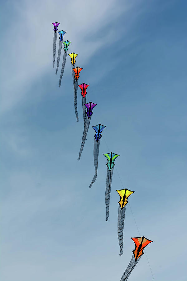 Lets go fly a kite Photograph by Patti Raine