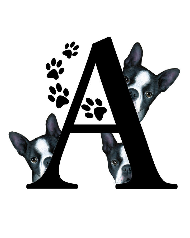 Letter A Monogram with Boston Terrier Dogs Mixed Media by Lucie Dumas