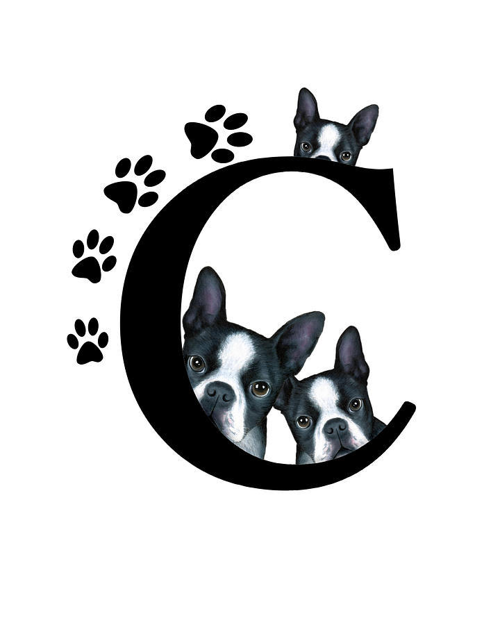 Letter C Monogram Boston Terrier Dogs Mixed Media by Lucie Dumas