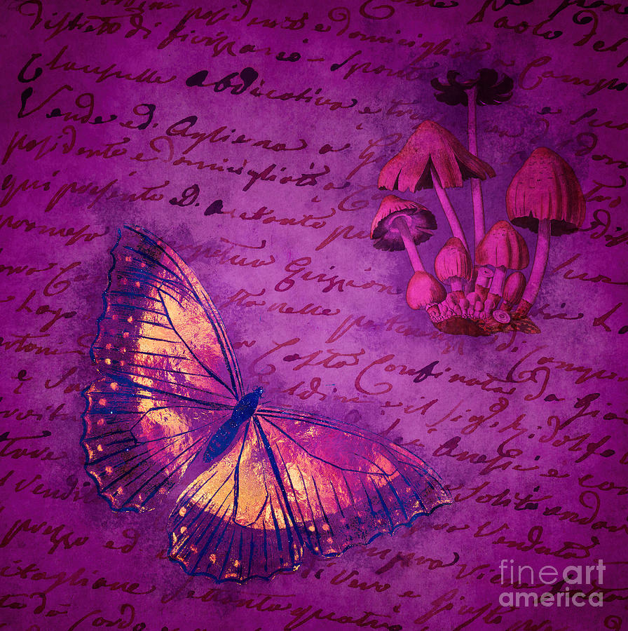 Letter from a Naturalist Digital Art by Judi Bagwell