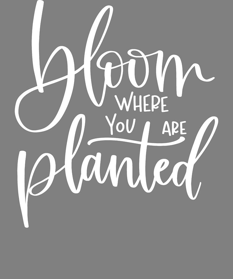 Lettered Bloom Where You are Planted Gardening Quotes Digital Art by ...