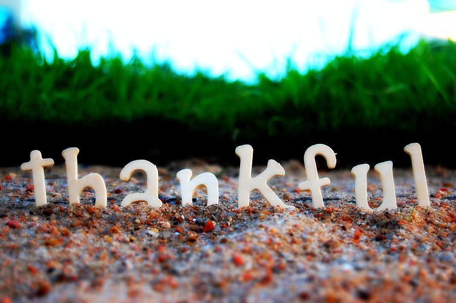 Letters spelling thankful Photograph by Meredith Winn Photography