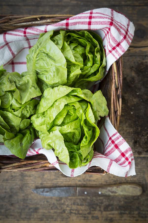 Lettuces on a tea towel in a basket Photograph by Veronesi, Larissa