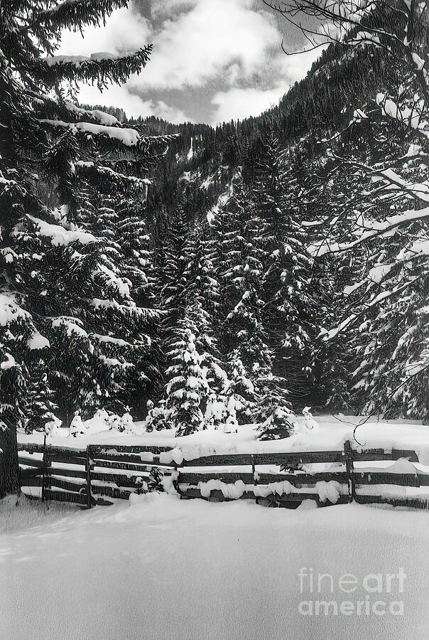 Leutasch Snow Trail 2 Photograph by Bob Phillips