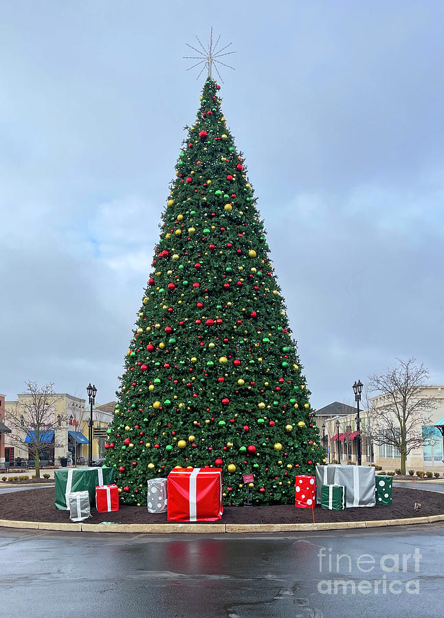 Levis Commons Christmas Tree  4751 Photograph by Jack Schultz