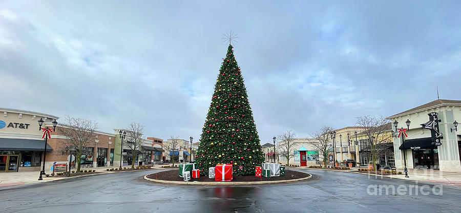 Levis Commons Christmas Tree  4752 Photograph by Jack Schultz