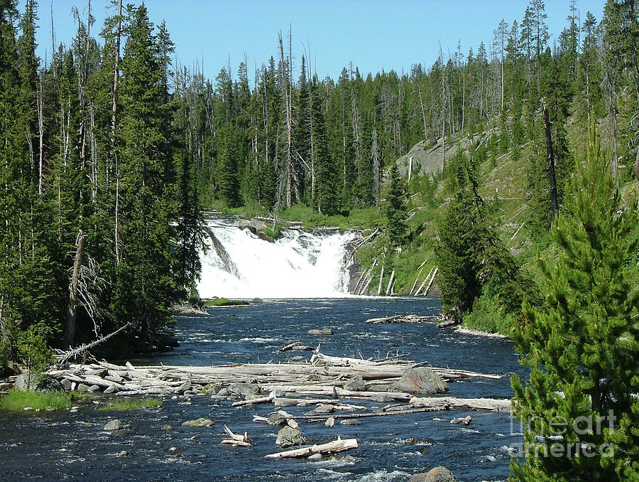 Lewis Falls - Yellowstone National Park Photograph by Charles Robinson