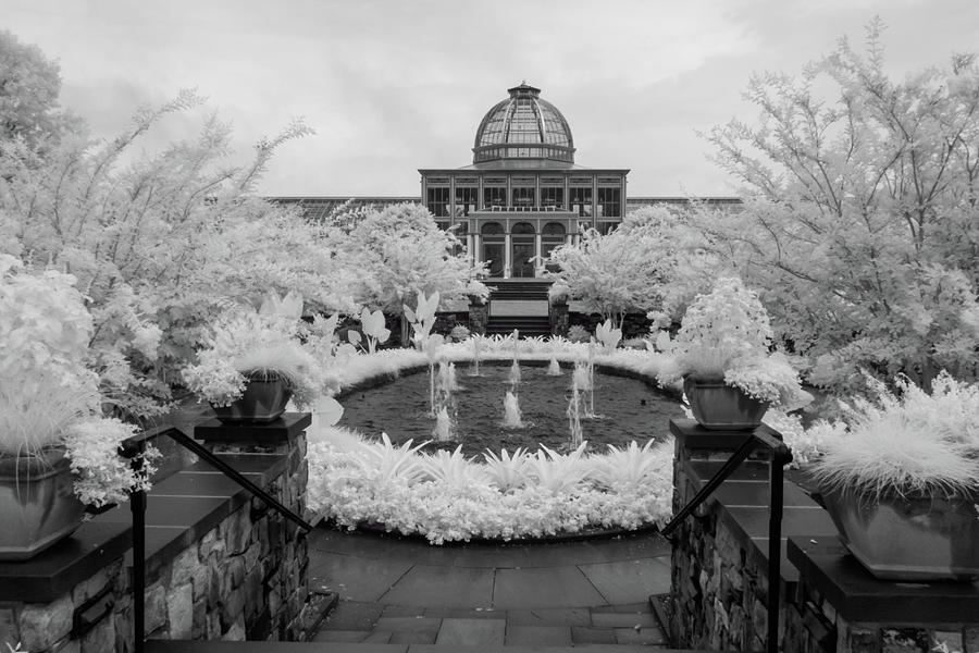Lewis Ginter Botanical Garden Infrared Photograph by Liza Eckardt
