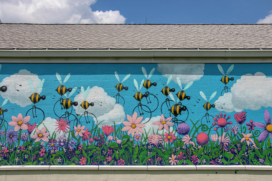 Bicycle Photograph - Lewis Ginter Botanical Garden Mural by Jean Haynes