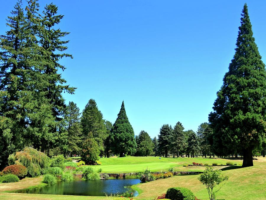 Lewis River Golf Course Hole 17 Photograph by Scott Carda Pixels