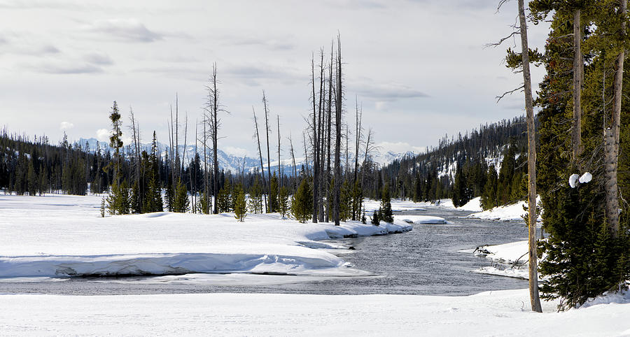Lewis River in Yellowstone Photograph by Cheryl Strahl