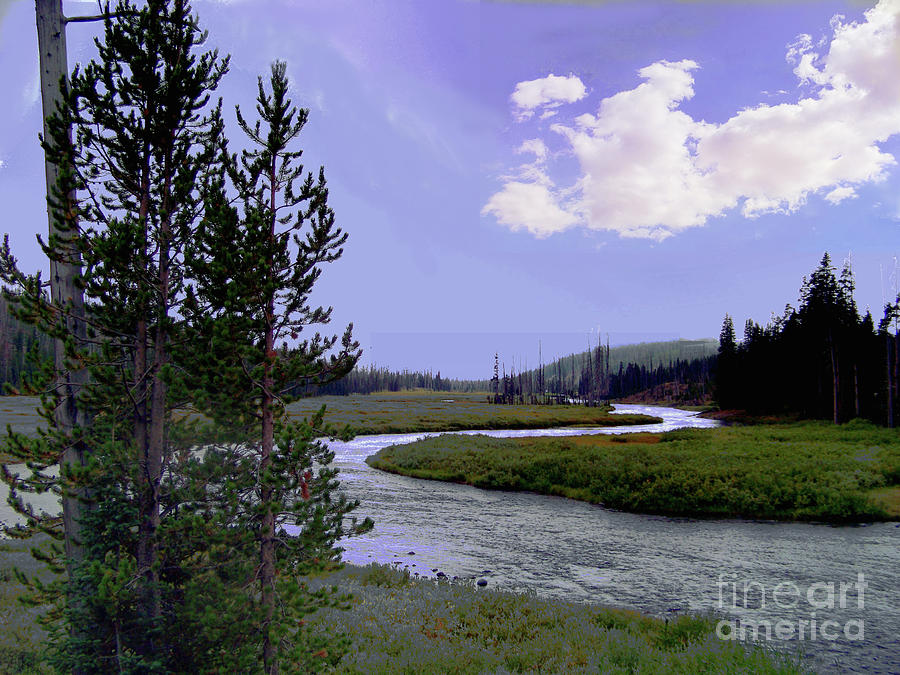 Lewis River - Yellowstone National Park Photograph by Charles Robinson